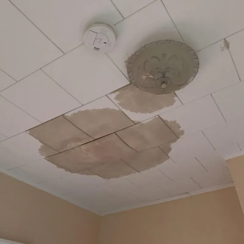 Ceiling Water Damage Repair in Brownville, NY